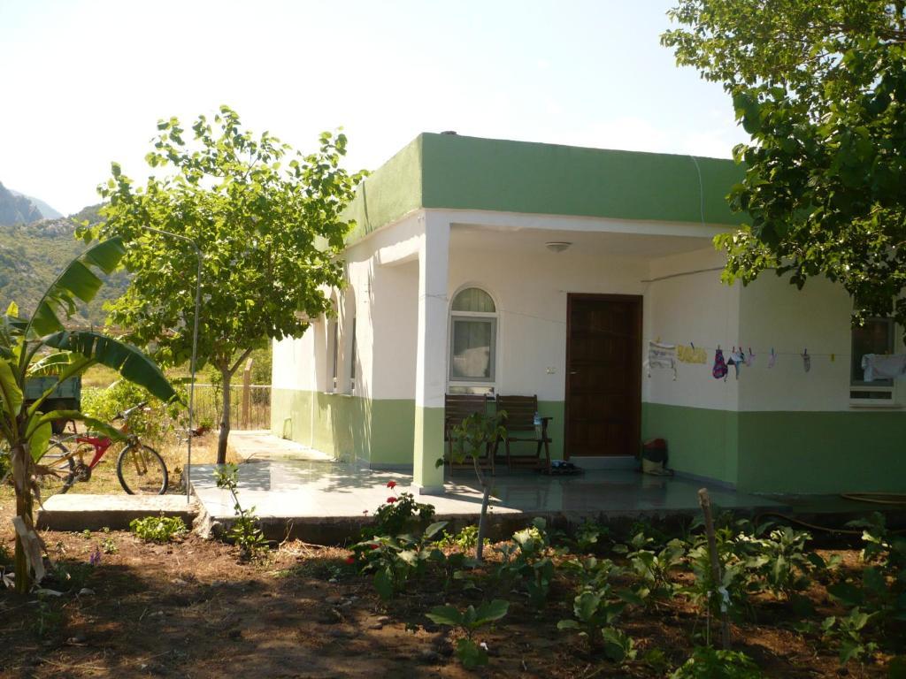 Kiyi Pansiyon Cirali Room photo